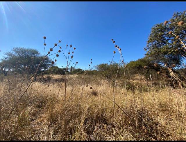 FARM FOR SALE IN IVYDALE A H